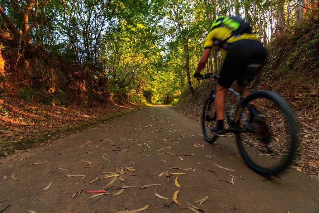 12° FIABA BTT RAID/PASSEIO 2025
