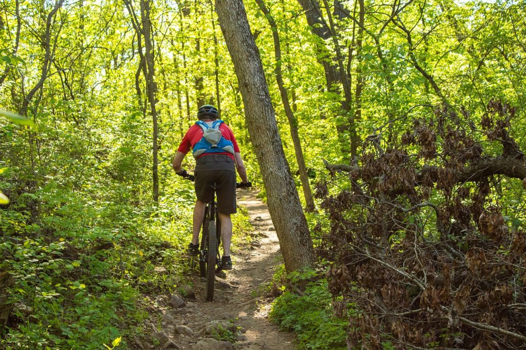 Passeio de BTT/Gravel – Mortágua