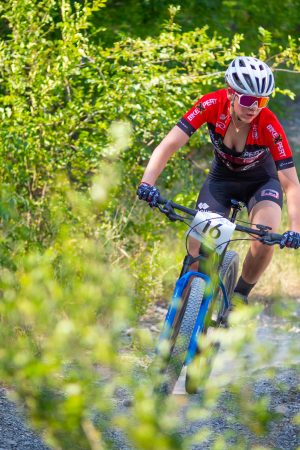 VIAGENS NA MINHA TERRA 2025