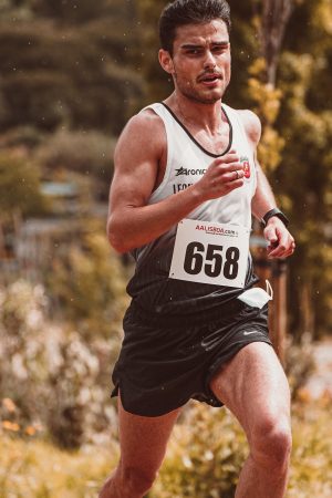 2ª Rota do Azeite e do Mel