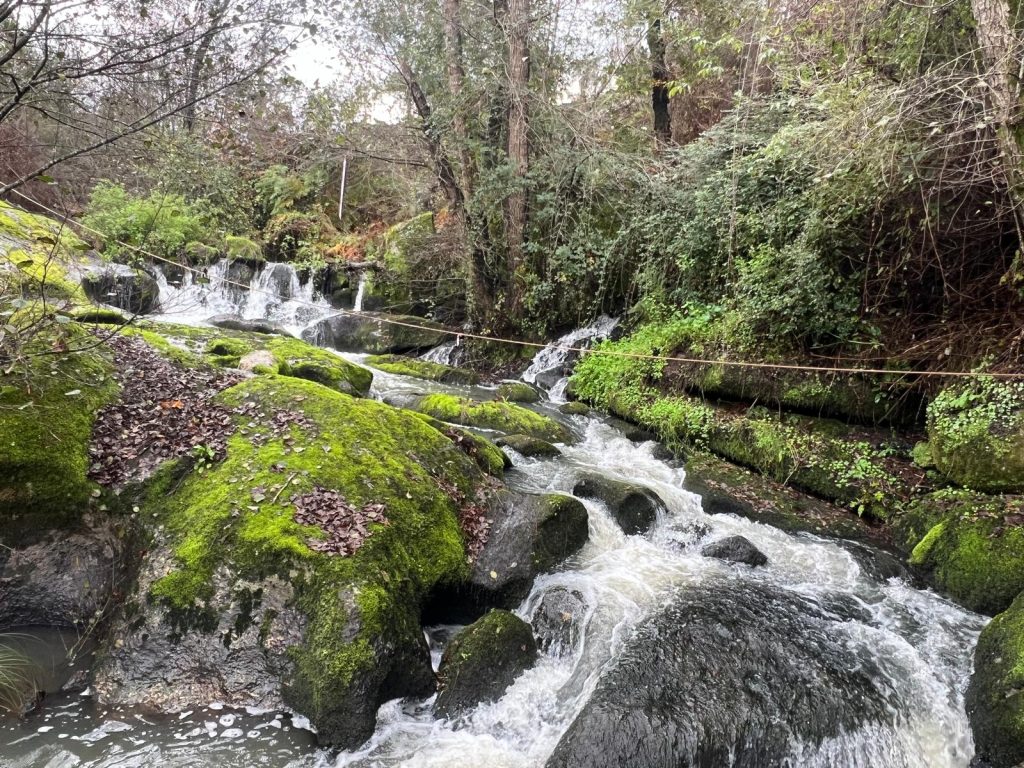 III Trail Entre o Dão e o Mondego