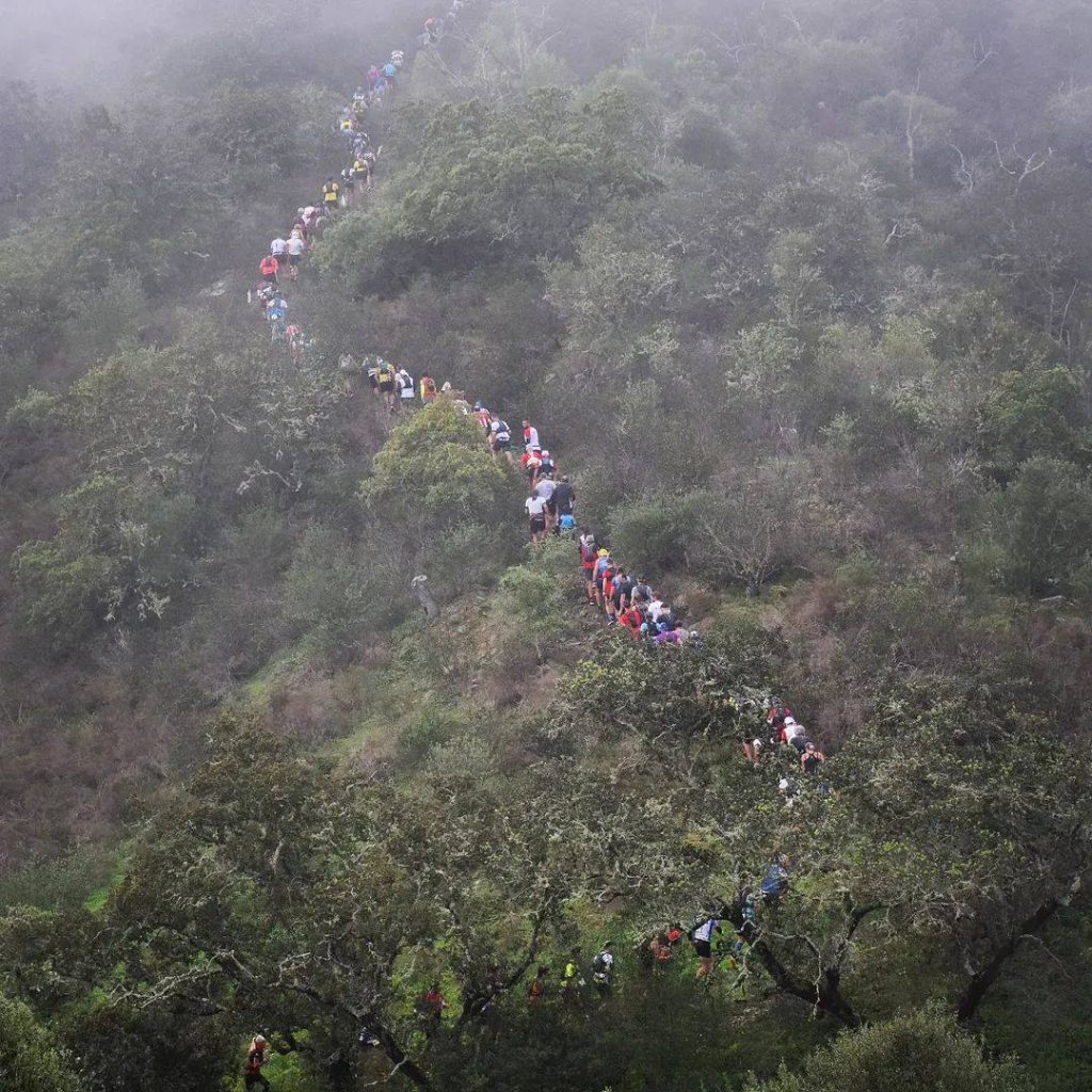 VI Trail do Falcão Real