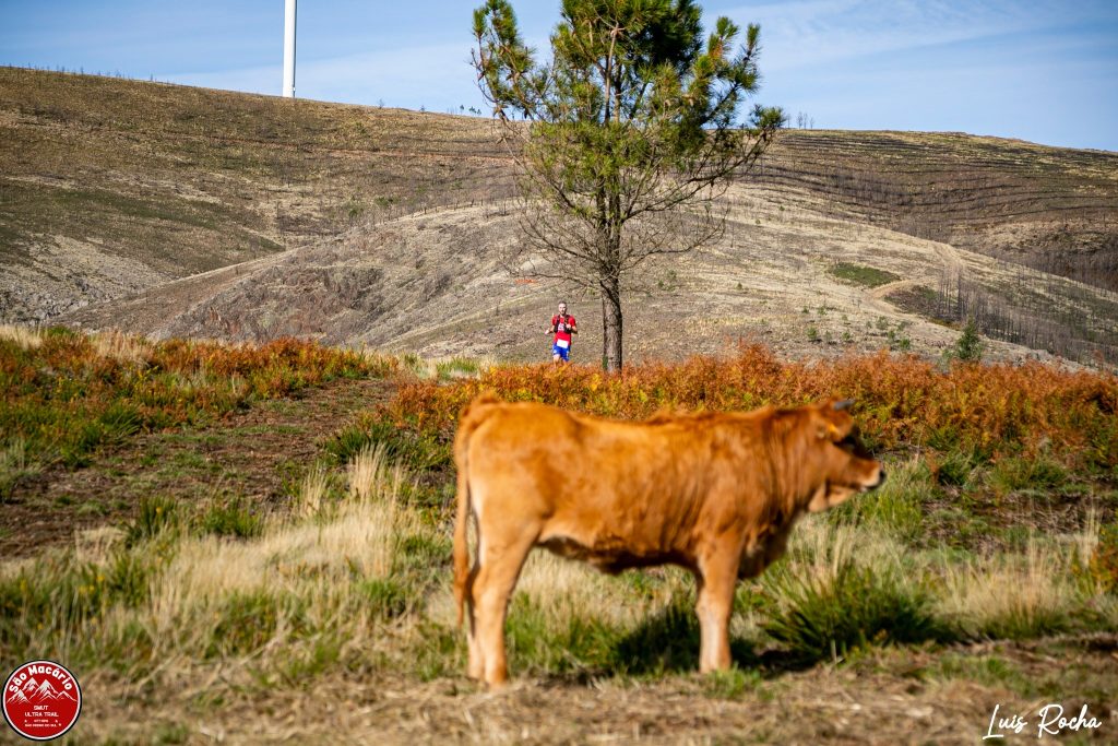 9th SÃO MACÁRIO TRAIL
