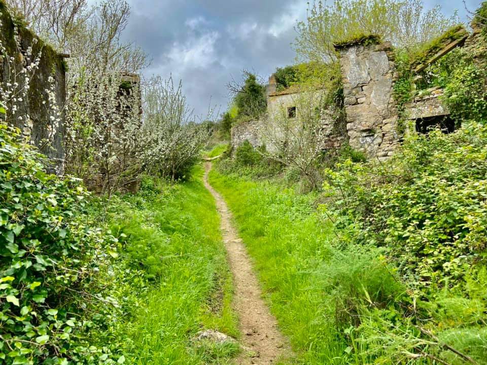 5th Lizandro Demons Trail