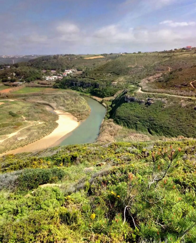 5th Lizandro Demons Trail