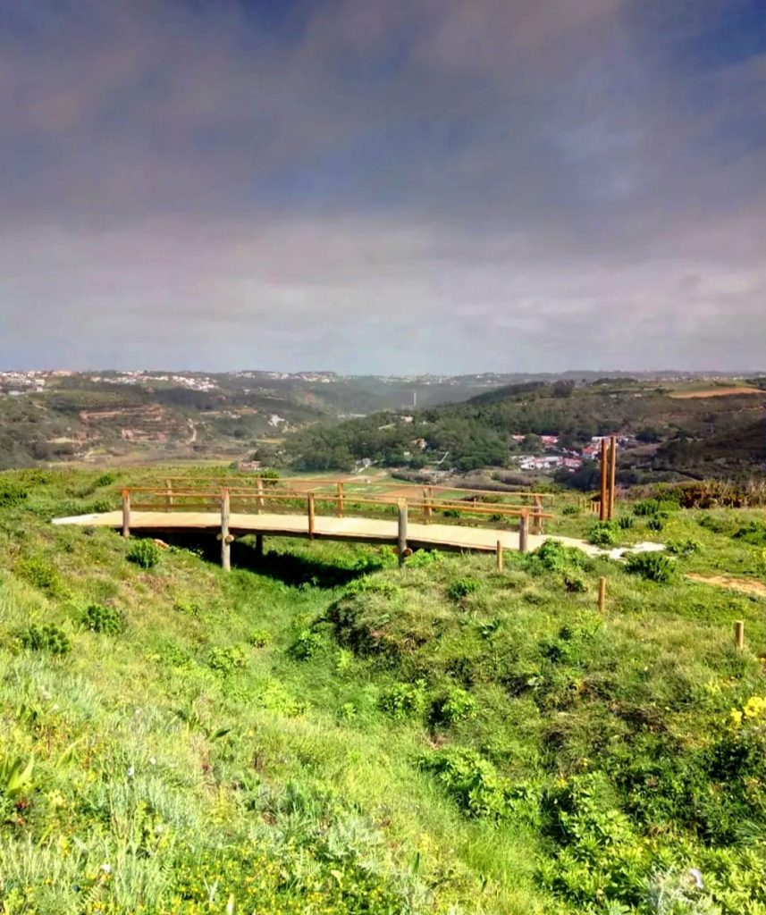 5th Lizandro Demons Trail