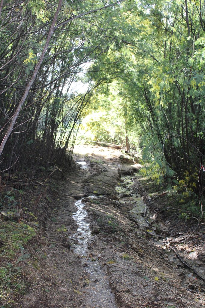 StepUp Trail - Our Lady of Sorrows