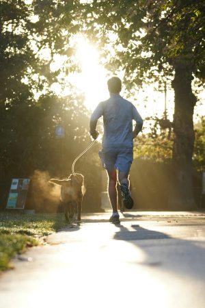 4th CANICROSS "Chestnut Route" - SERNANCELHE