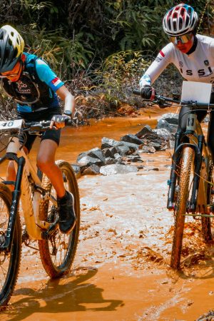 17th BTT Route of the Beetles