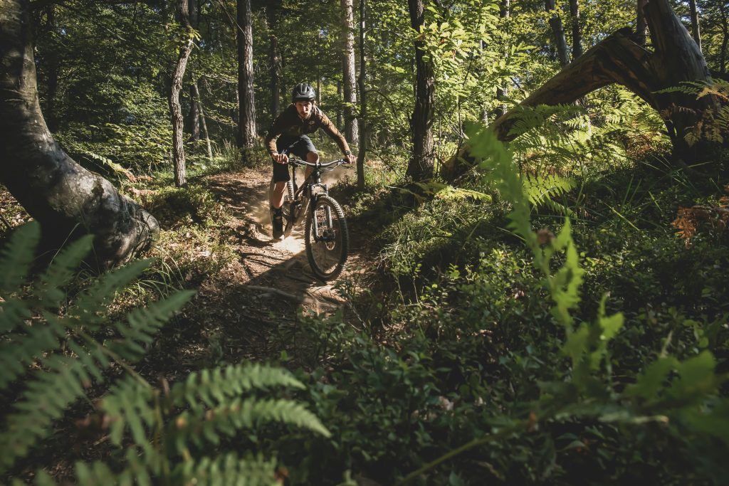 RACENATURE ALBUFEIRA XCMS