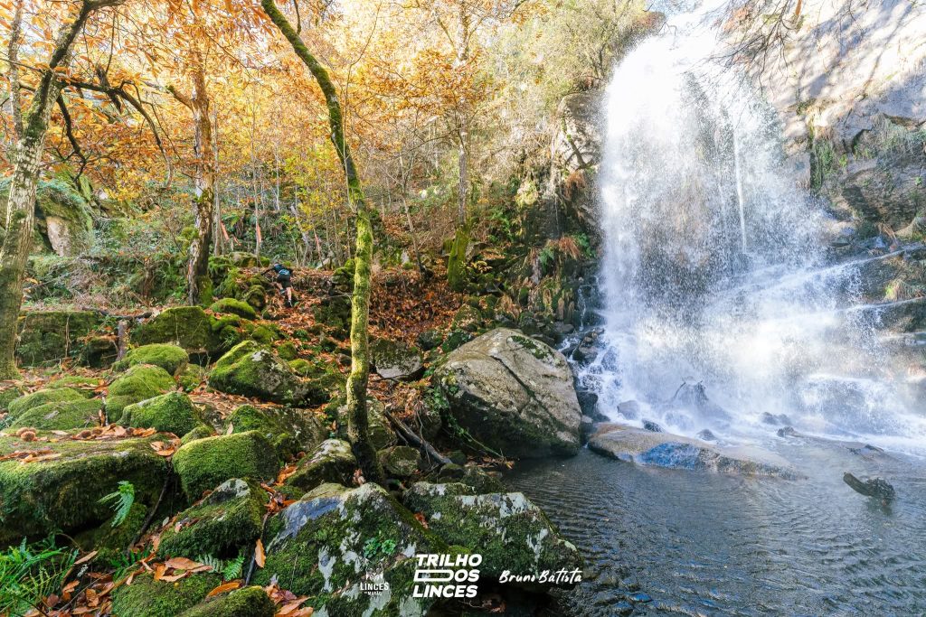 LINCES TRAIL by GoldEnergy 2026