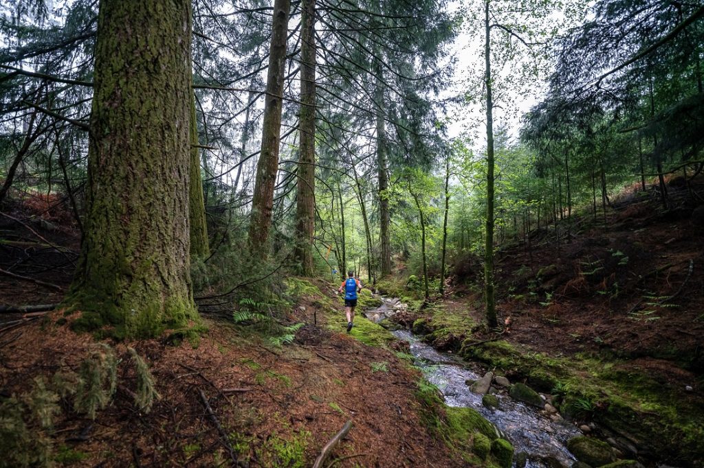 GREAT TRAIL FISGAS DE ERMELO