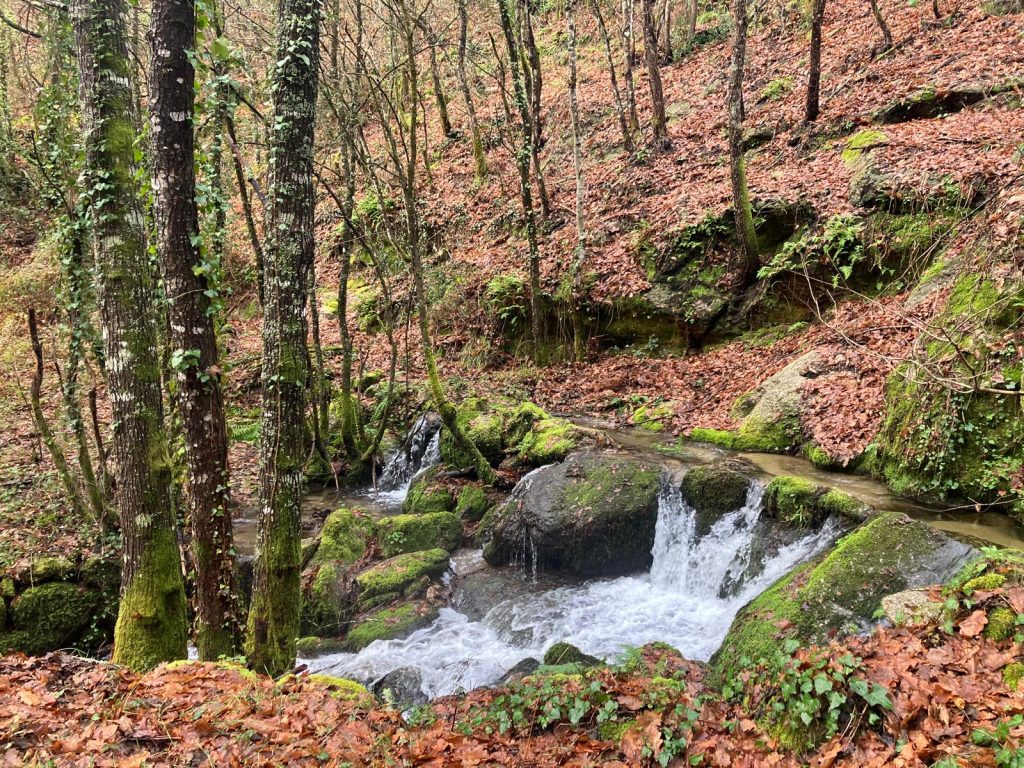 1st Trail Vouga do Diabo