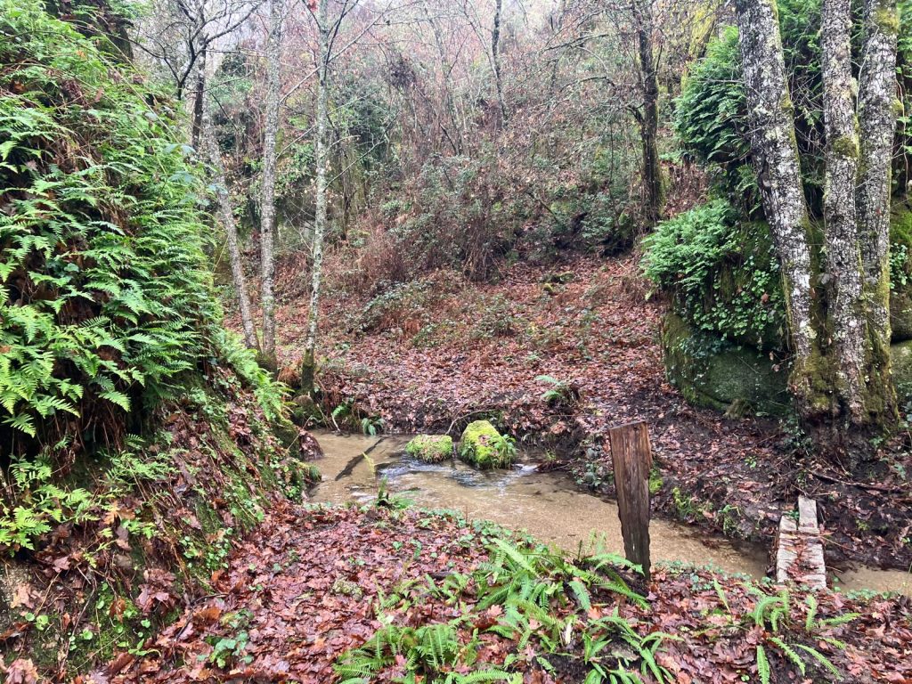 1st Trail Vouga do Diabo