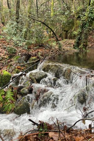 I Trail Vouga do Diabo