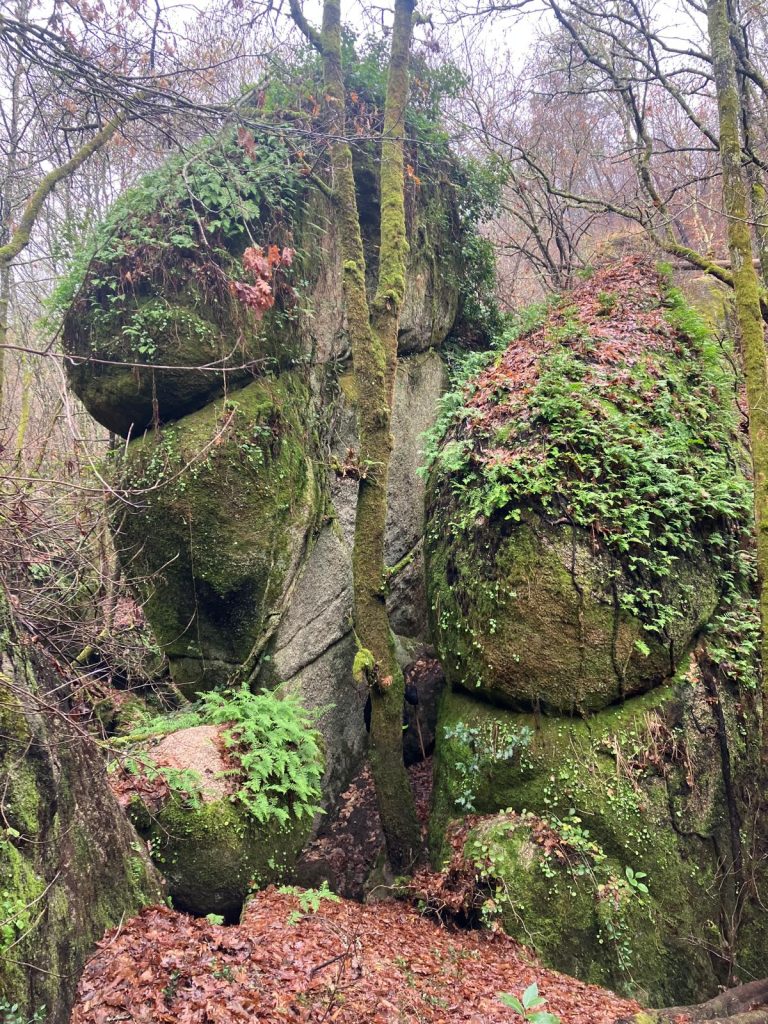 1st Trail Vouga do Diabo