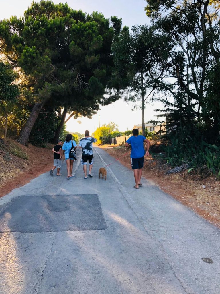 1st Benfica Pet Walk 2026
