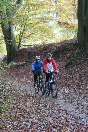 ROTA DA CIÊNCIA E DA EDUCAÇÃO