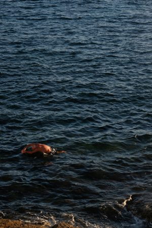 Sra. D’Agonia International Meeting