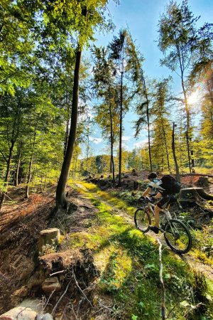 TAÇA INTERMUNICIPAL 3H RESISTÊNCIA BTT 2026 - AMADORA