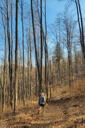 Walk and Trail "A Pérola da Zebreira"