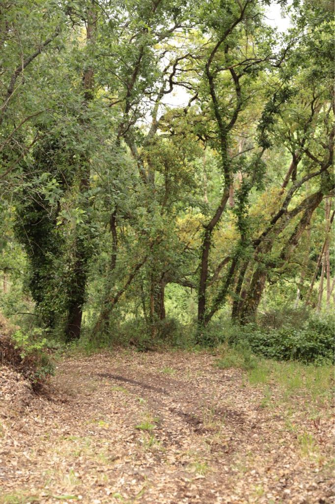 4th MTB Raid – ACR Calvariense