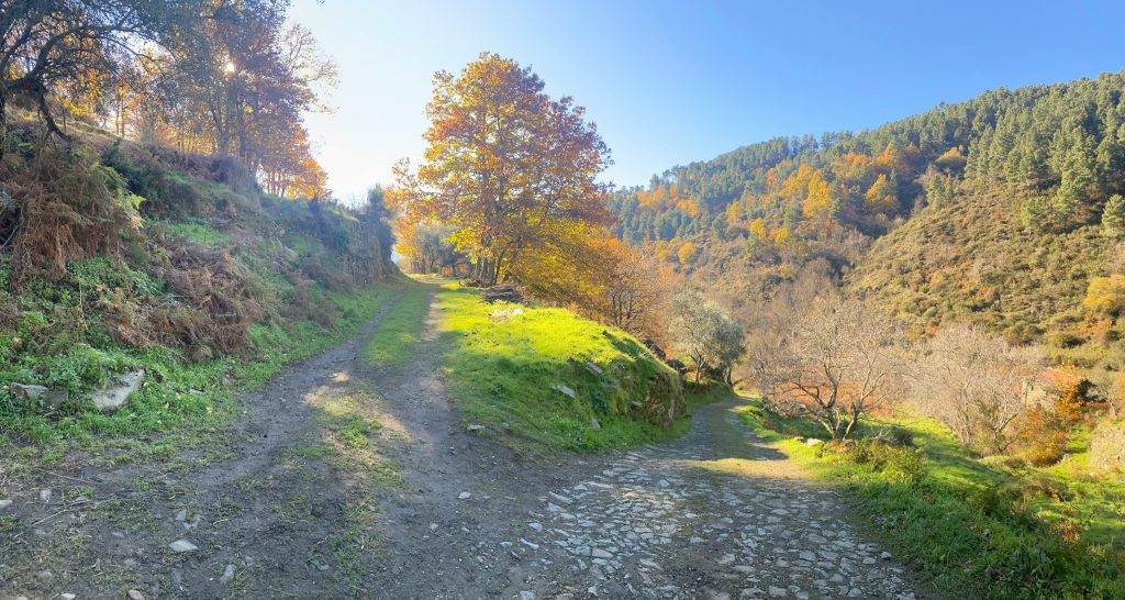 The Most Scenic Race Destinations in Portugal