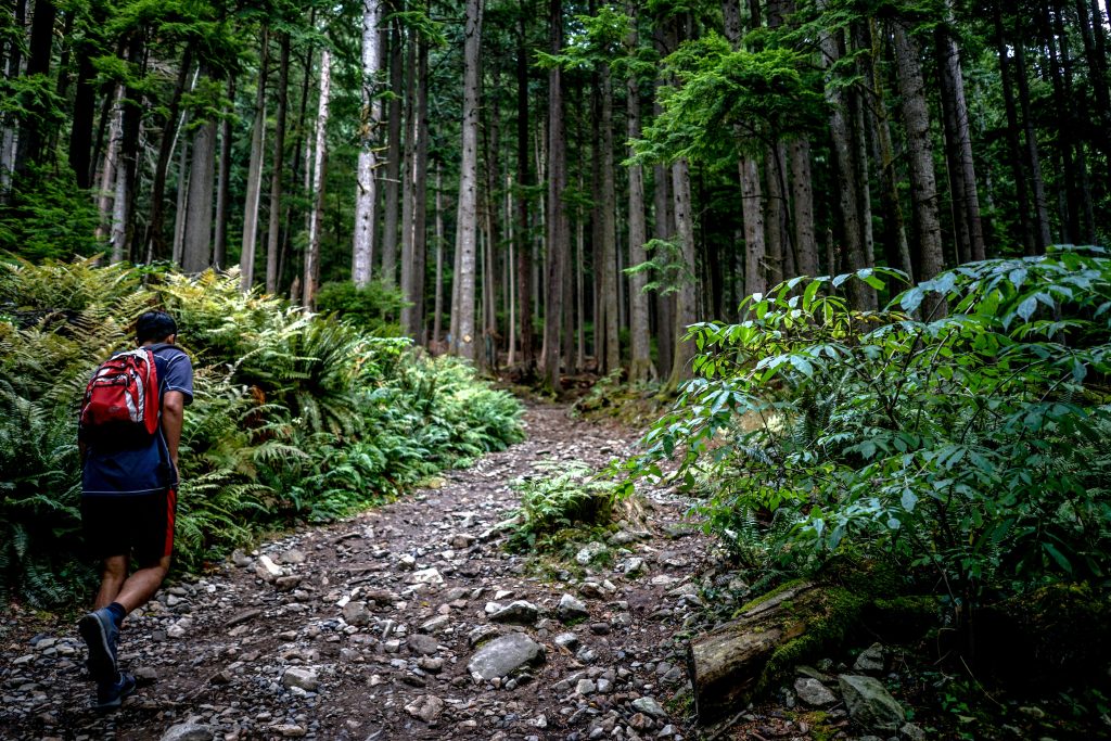 Trail running para iniciantes: como escolher a tua primeira prova