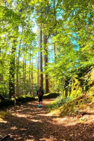 3ª CAMINHADA AVENTURAS NO MONTE