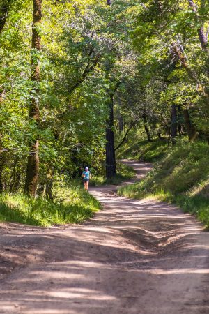 VIII Trail de Elvas – Património Mundial 2026